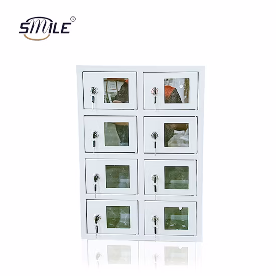 Fornecimento de fábrica Armário público para celular Carregamento iPad Armário de vendas