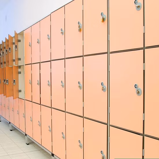 Armário à prova d'água para funcionário de porta única de baixo preço